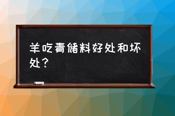 青储饲料羊吃为什么流产 羊吃青储料好处和坏处？