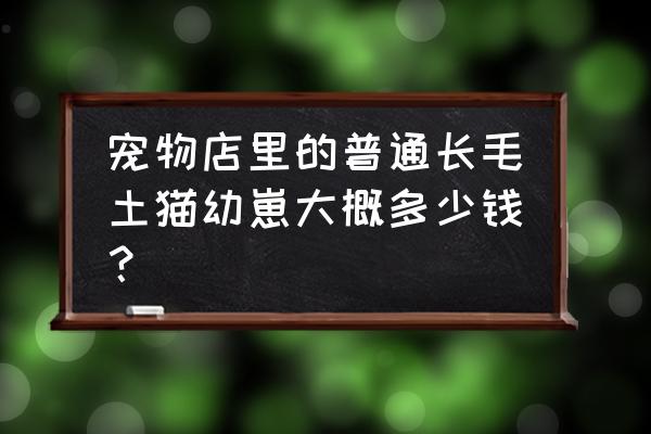 宠物店常见的猫一般多少钱 宠物店里的普通长毛土猫幼崽大概多少钱？