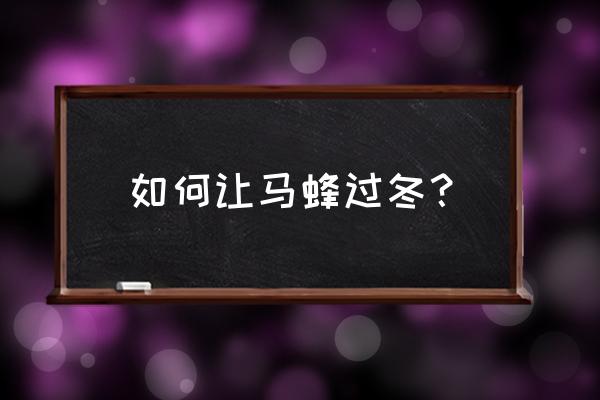 马蜂冬天怎么养殖技术 如何让马蜂过冬？