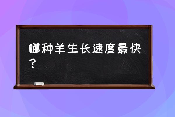 养哪样羊效率最好 哪种羊生长速度最快？