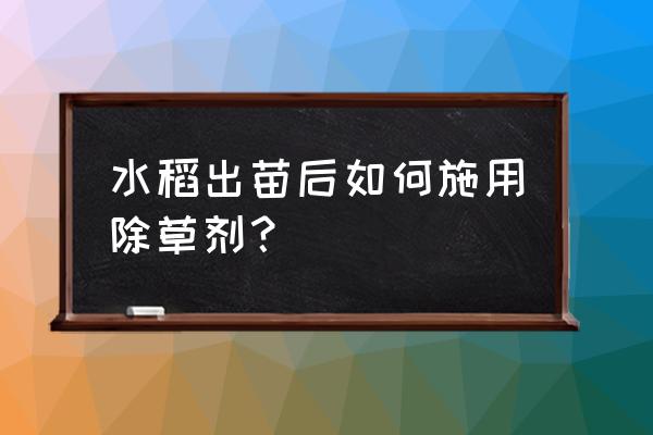 水稻苗床除草剂有哪些 水稻出苗后如何施用除草剂？