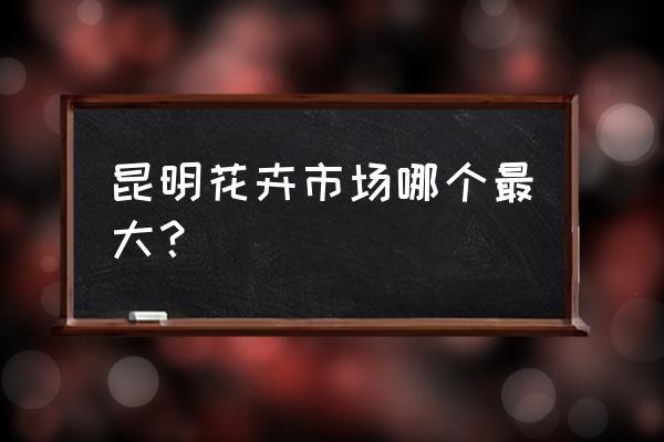 昆明哪里卖盆栽花卉 昆明花卉市场哪个最大？