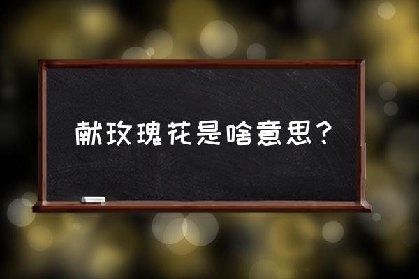 送玫瑰代表的是什么 献玫瑰花是啥意思？