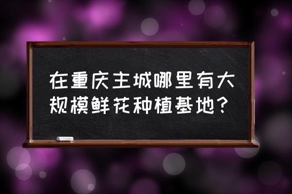 北碚静观花木门票多少 在重庆主城哪里有大规模鲜花种植基地？