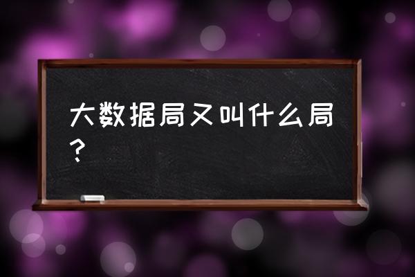 泰安市大数据局什么单位 大数据局又叫什么局？