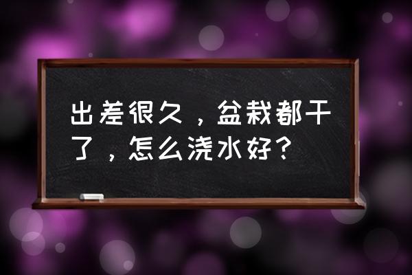 如果出差花盆怎样浇水 出差很久，盆栽都干了，怎么浇水好？