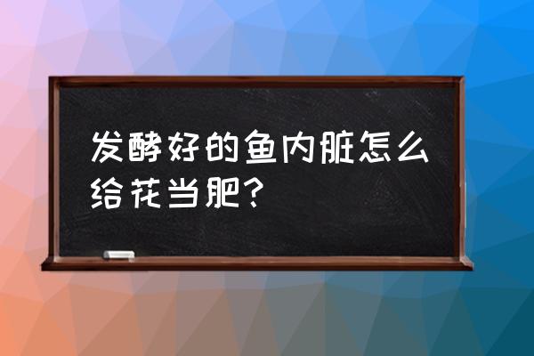 鱼肠子发酵后可以养兰花吗 发酵好的鱼内脏怎么给花当肥？