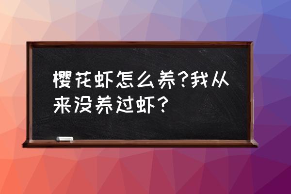 养樱花虾要多少水温 樱花虾怎么养?我从来没养过虾？