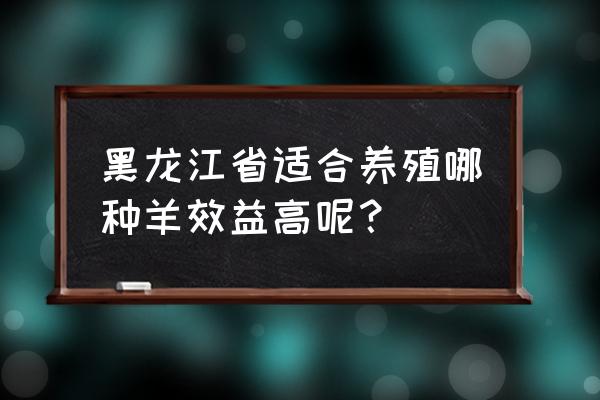 黑龙江养什么羊最好 黑龙江省适合养殖哪种羊效益高呢？