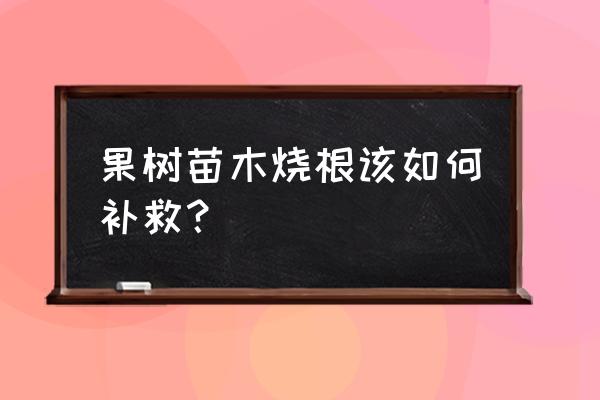 有机肥用来种果树会烧根吗 果树苗木烧根该如何补救？