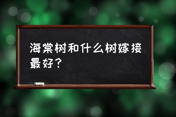 长寿果可以嫁接西府海棠吗 海棠树和什么树嫁接最好？