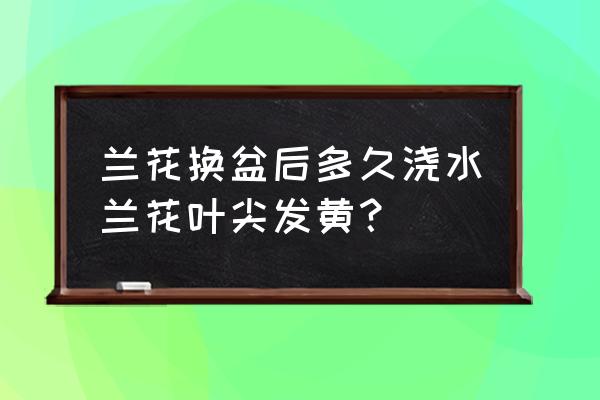 请教各位兰花换盆后什么时间浇水 兰花换盆后多久浇水兰花叶尖发黄？