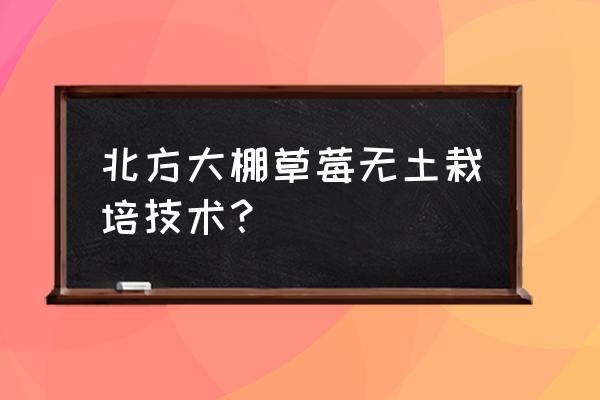 无土草莓种植技术有哪些国家 北方大棚草莓无土栽培技术？