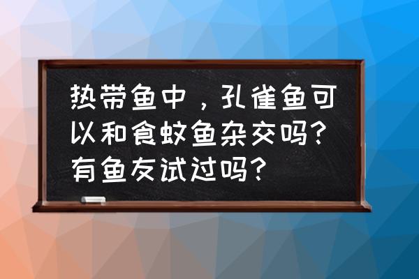 食蚊鱼可以吃孔雀鱼的饲料吗 热带鱼中，孔雀鱼可以和食蚊鱼杂交吗？有鱼友试过吗？