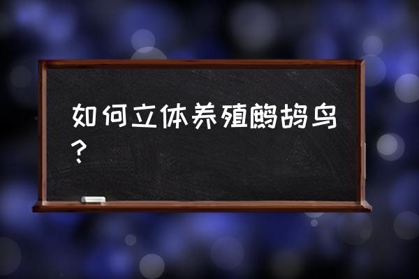 北京哪儿有鹧鸪养殖场 如何立体养殖鹧鸪鸟？