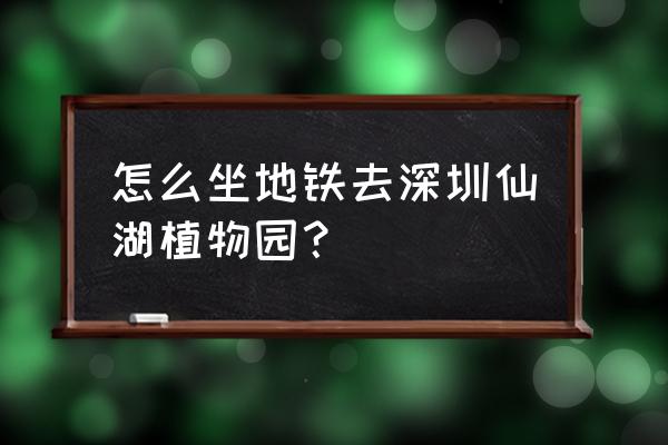 西丽去仙湖植物园怎么坐地铁 怎么坐地铁去深圳仙湖植物园？