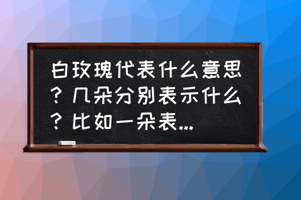 100朵白玫瑰代表什么 白玫瑰代表什么意思？几朵分别表示什么？比如一朵表示什么，两朵呢？还有三朵，四朵？