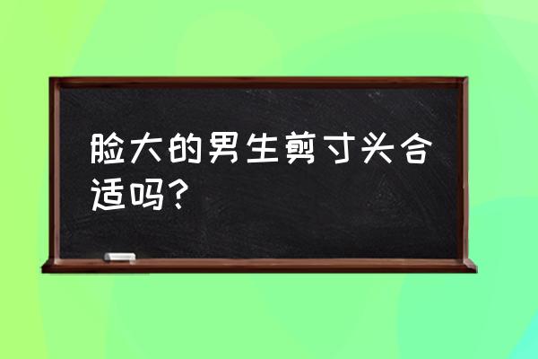 男人胖脸大适合什么短发 脸大的男生剪寸头合适吗？