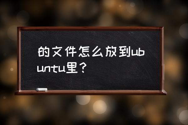 怎么放到linux 的文件怎么放到ubuntu里？