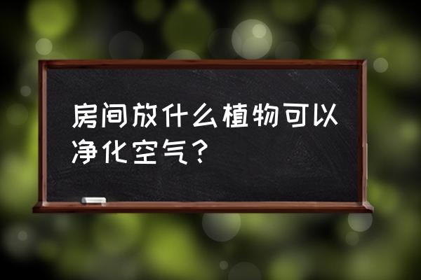 室内养什么植物净化空气最好 房间放什么植物可以净化空气？