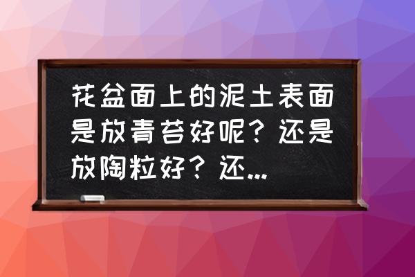 花盆土表面放什么好 花盆面上的泥土表面是放青苔好呢？还是放陶粒好？还是放别的什么？