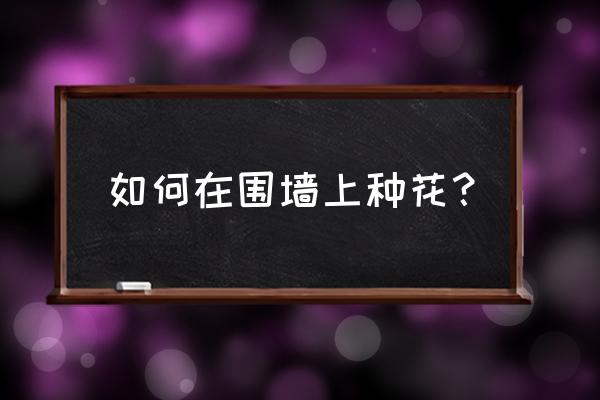 庭院墙壁上如何种植花卉 如何在围墙上种花？