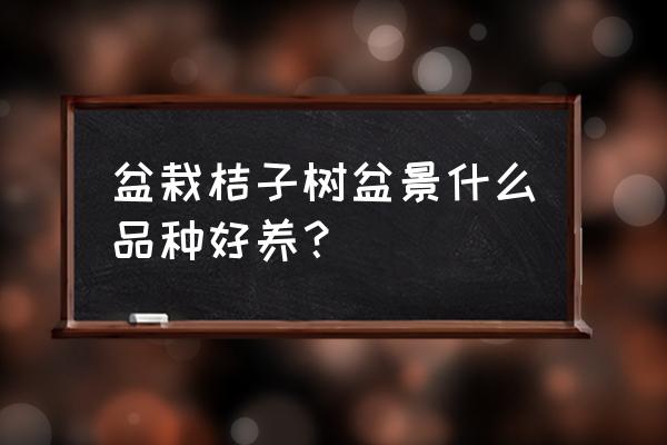 什么品种的桔子适合做盆栽 盆栽桔子树盆景什么品种好养？