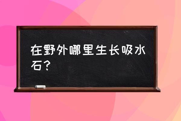 北京哪里有吸水石假山 在野外哪里生长吸水石？