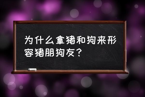 两狗逗小猪是什么意思 为什么拿猪和狗来形容猪朋狗友？