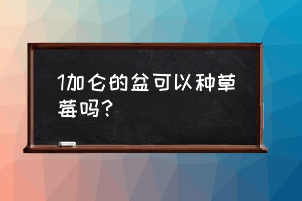 一颗草莓用多大的花盆 1加仑的盆可以种草莓吗？