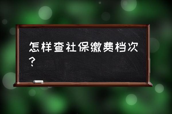 在哪里可以查看购买社保几档 怎样查社保缴费档次？