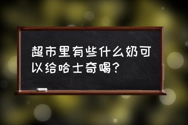 哈士奇幼崽可以喝酸奶吗 超市里有些什么奶可以给哈士奇喝？