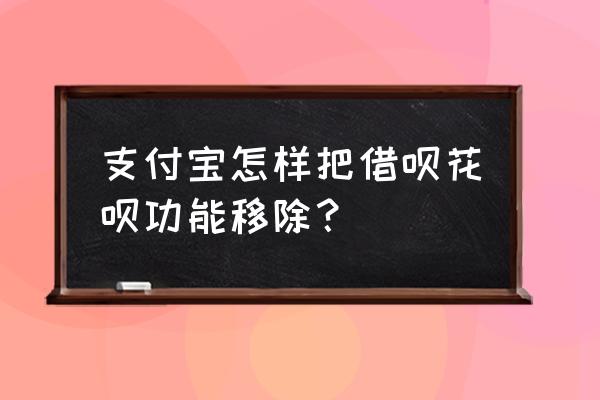 怎么样关掉借呗的功能 支付宝怎样把借呗花呗功能移除？