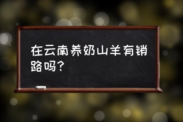 云南养羊基地石林圭山奶山羊哪足 在云南养奶山羊有销路吗？