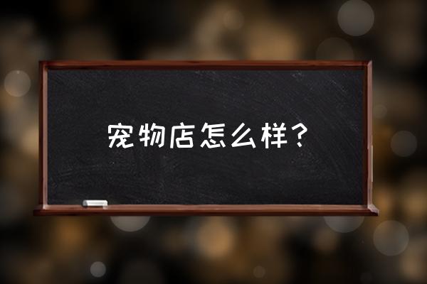 熊熊萌宠宠物店怎么样 宠物店怎么样？