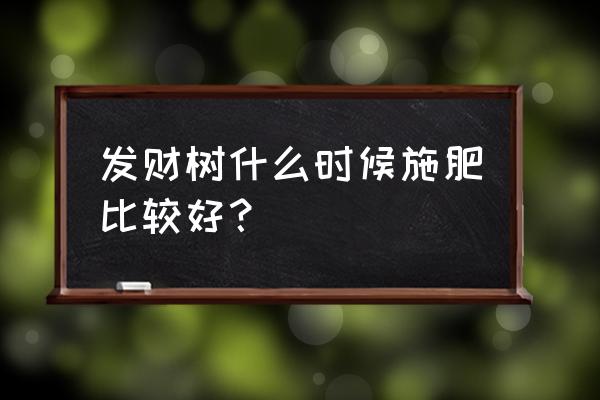 种发财树能用复合肥吗 发财树什么时候施肥比较好？