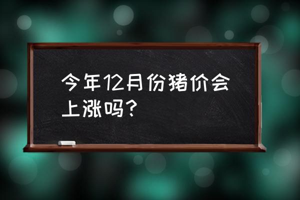 今年的猪价还会涨吗 今年12月份猪价会上涨吗？