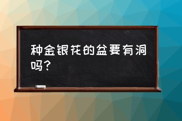 盆栽金银花用多大花盆 种金银花的盆要有洞吗？