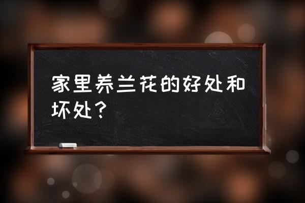 兰花有净化空气的功能吗 家里养兰花的好处和坏处？