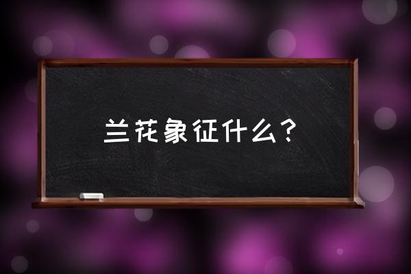 兰花代表什么象意义 兰花象征什么？