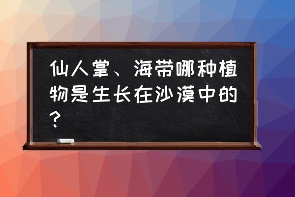 沙漠里面的仙人掌叫什么 仙人掌、海带哪种植物是生长在沙漠中的？