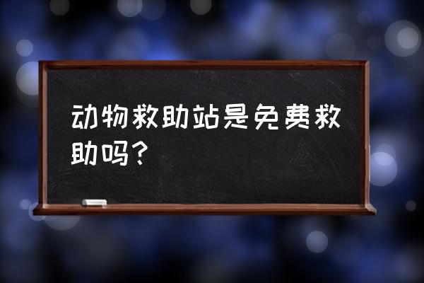 流浪狗送去救助站收费吗 动物救助站是免费救助吗？