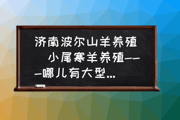 山东济南有多少个大型养牛场 济南波尔山羊养殖||小尾寒羊养殖---哪儿有大型肉牛养殖基地？