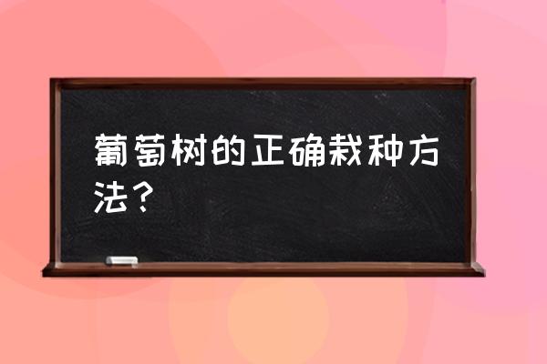 江门市鹤山市树葡萄苗木怎么种植 葡萄树的正确栽种方法？