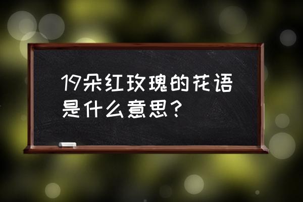 19红色玫瑰花语是什么 19朵红玫瑰的花语是什么意思？