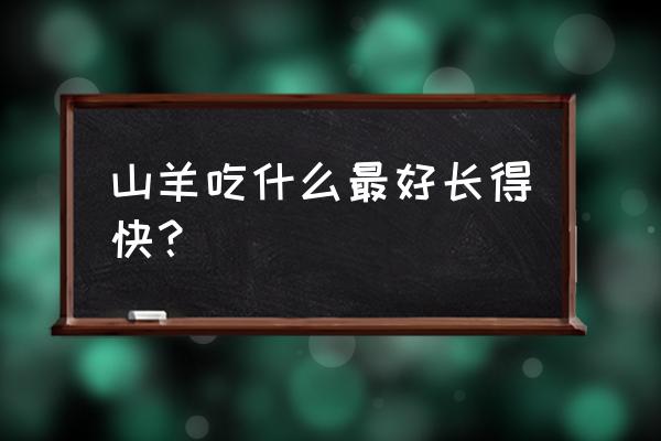 羊吃什么饲料长得大 山羊吃什么最好长得快？