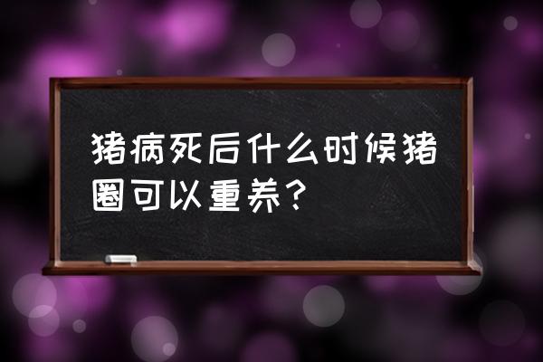 要过多长时间才可以养猪 猪病死后什么时候猪圈可以重养？