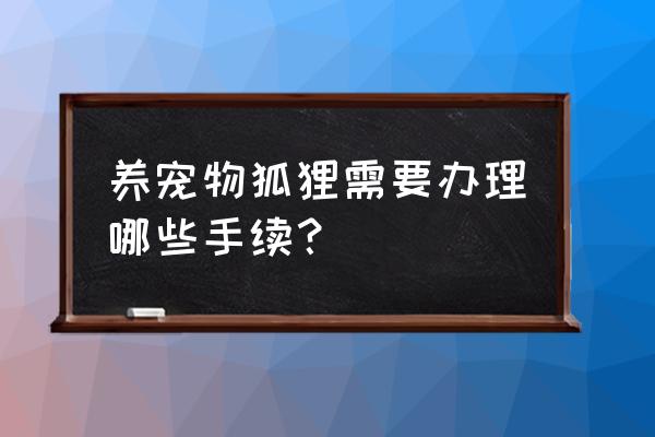 养宠物狐狸需要什么 养宠物狐狸需要办理哪些手续？