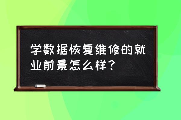 北京数据恢复哪家专业 学数据恢复维修的就业前景怎么样？