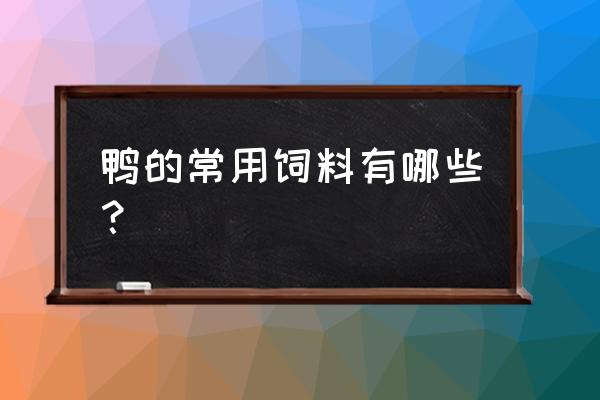 养鸭子喂什么饲料 鸭的常用饲料有哪些？